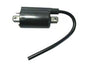 Atv Ignition Coil