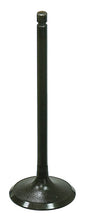 Intake Valve