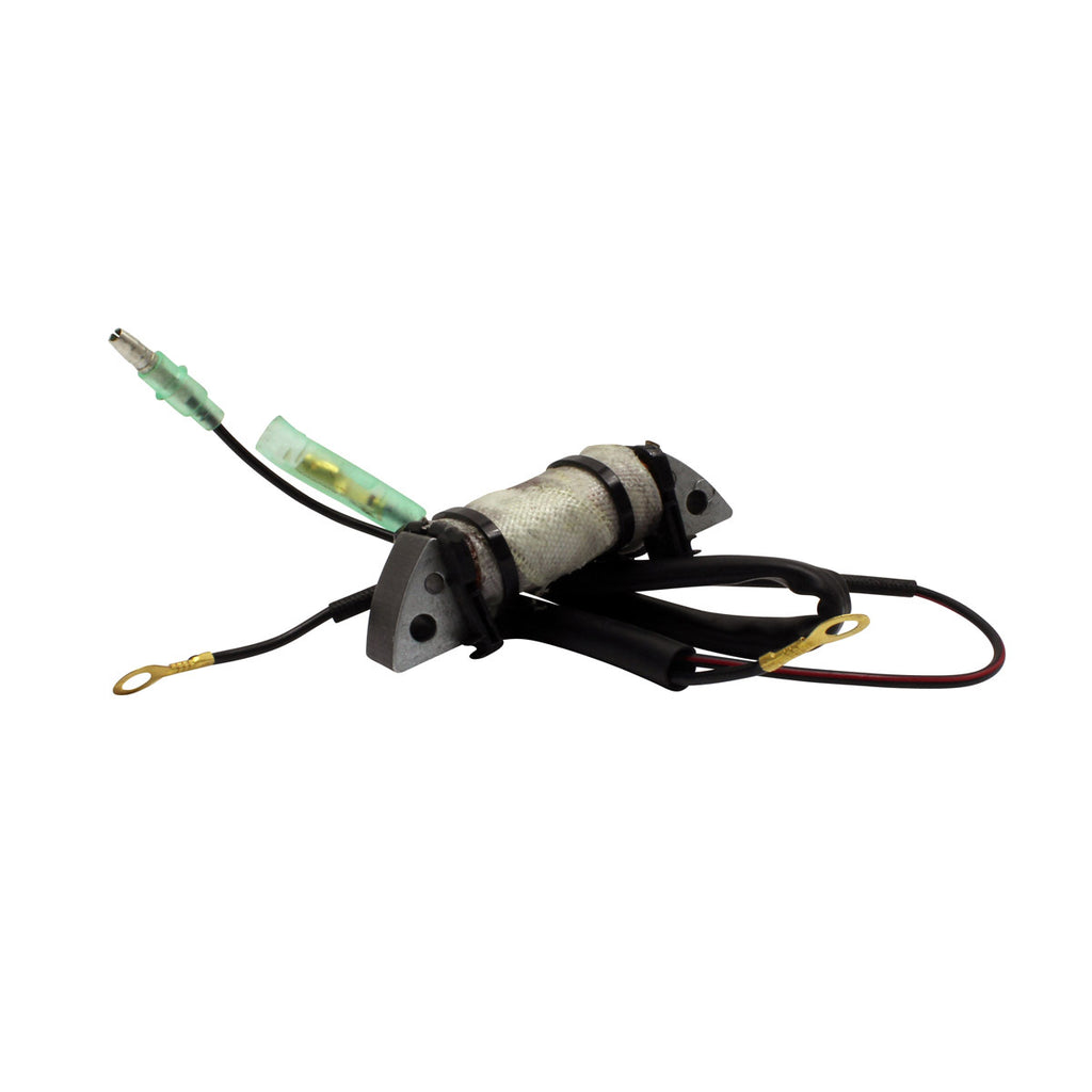Stator Source Coil