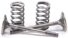 Load image into Gallery viewer, Exhaust Valve Conversion Set Ti Steel Gas/Yam