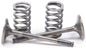 Exhaust Valve Conversion Set Ti Steel Gas/Yam