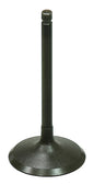 Intake Valve