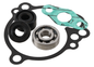 Water Pump Kit Kaw Kx65
