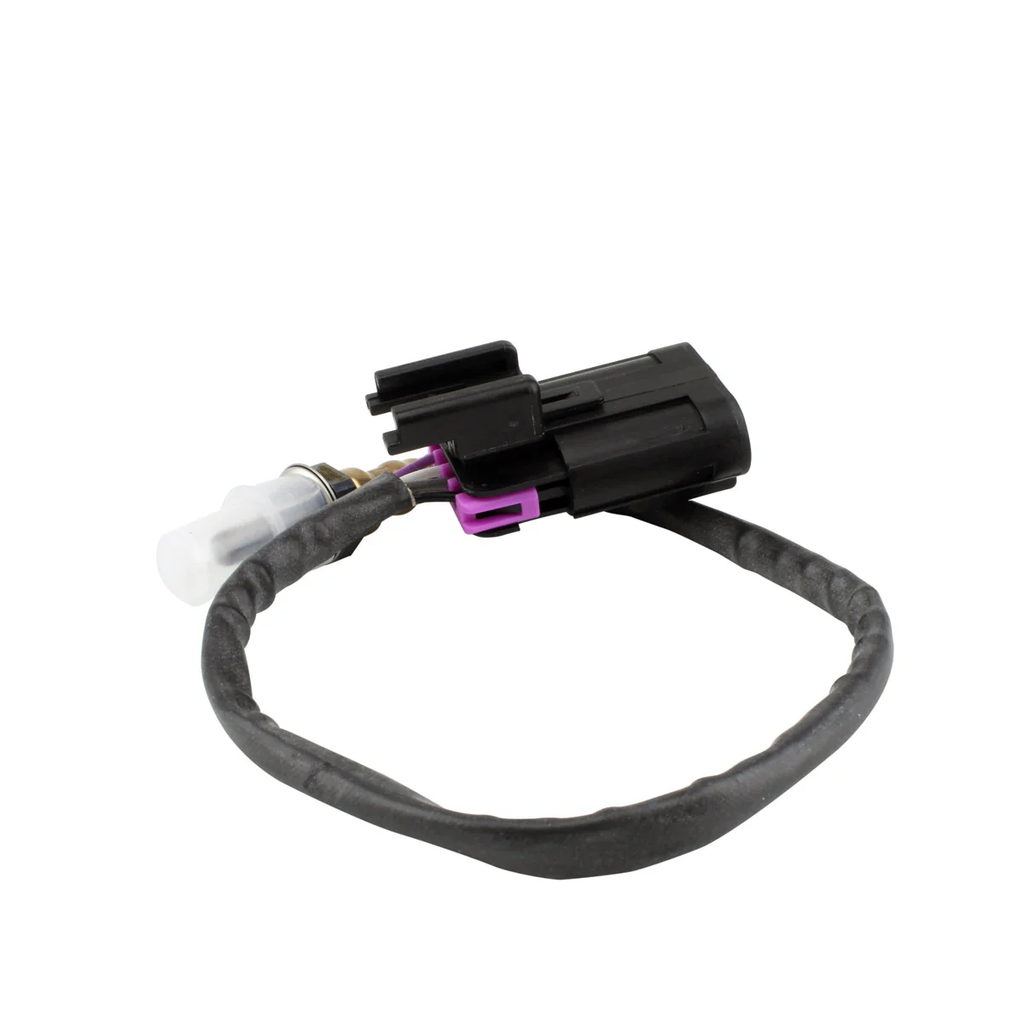 Oxygen Sensor Pol