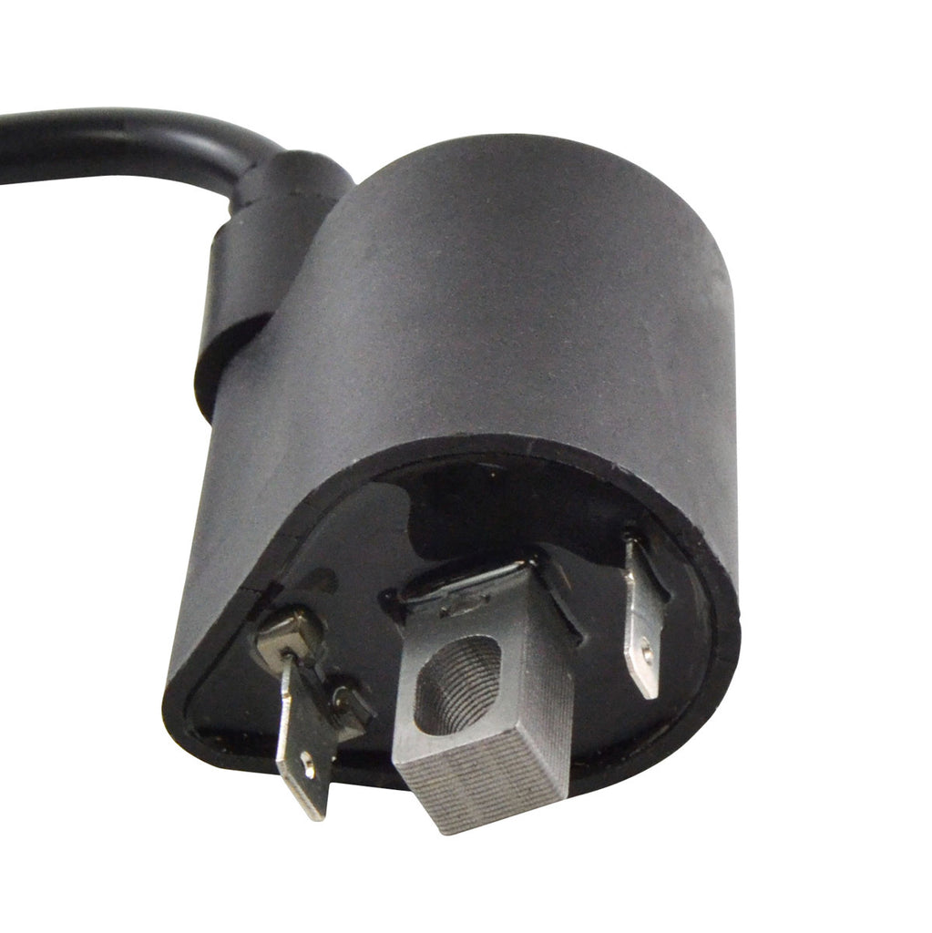 External Ignition Coil W/Spark Plug Cap