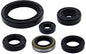 Oil Seal Set Kaw