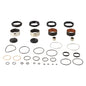 Seal/Bushing Kit Forks