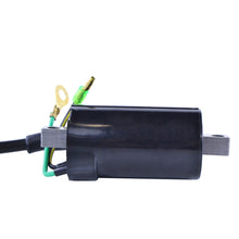 Load image into Gallery viewer, External Ignition Coil