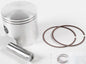 Piston Kit Pro Lite 75.50/+1.00 Pol