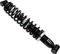 Gas Shock Rear