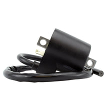Load image into Gallery viewer, External Ignition Coil
