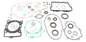 Complete Gasket Set With Oil Seals