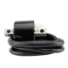 Load image into Gallery viewer, External Ignition Coil