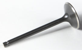 Black Diamond Intake Valve