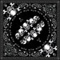 Bandanna Skull Row