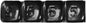 Wheel Weights 5 Gram Black 360 Piece/Box