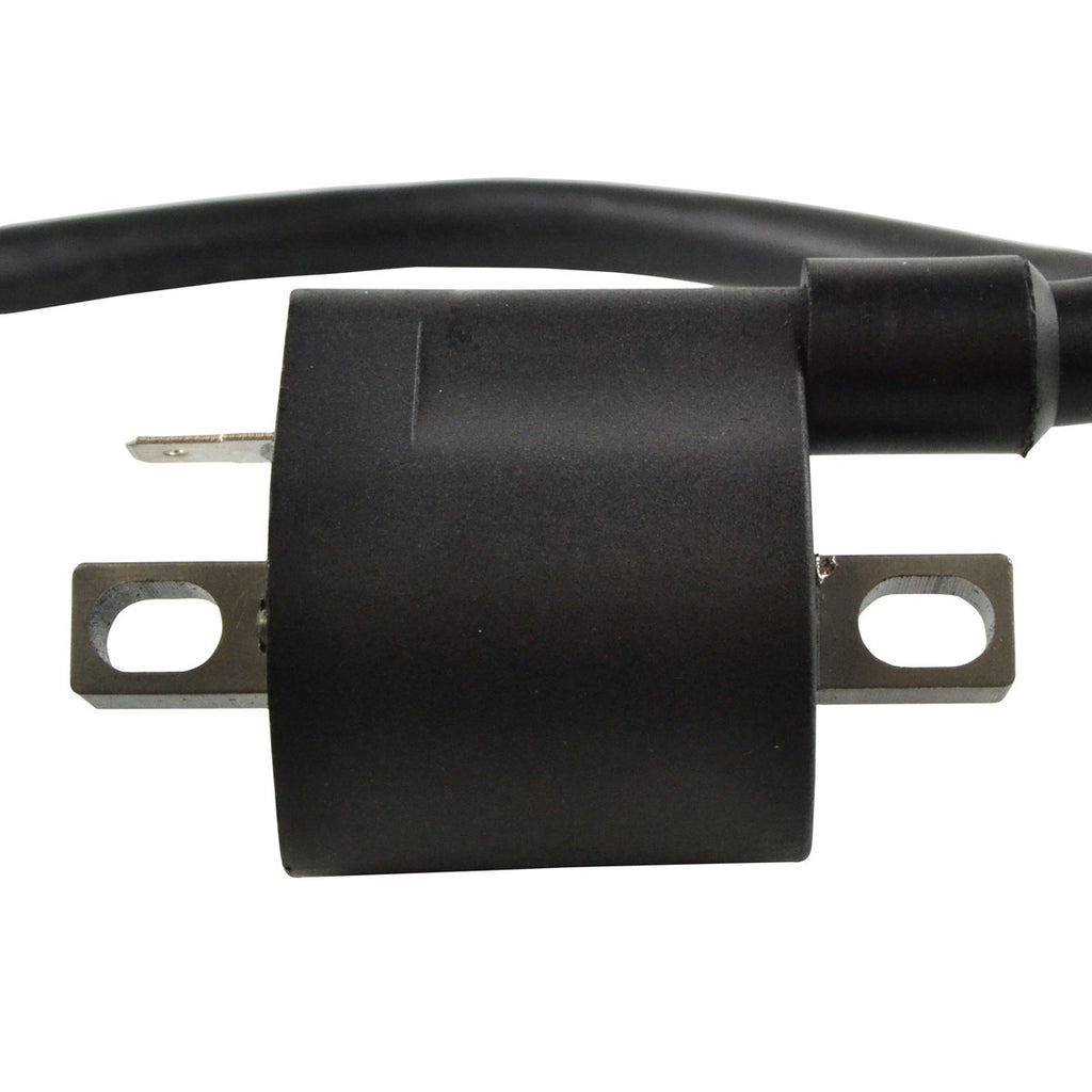 External Ignition Coil W/Spark Plug Cap