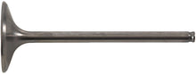 Load image into Gallery viewer, Intake Valve Titanium