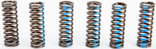 Load image into Gallery viewer, Clutch Springs