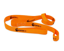 Load image into Gallery viewer, Ski Pull Strap