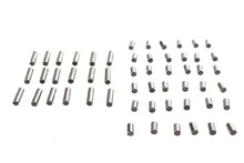 Load image into Gallery viewer, Connecting Rod Roller Bearing Set .0002