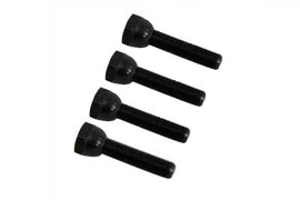 Tappet Adjuster Screw