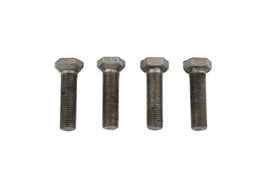 Tappet Adjuster Screw