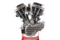 74 inch Panhead Bastardo Engine Assembly