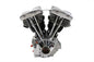 Shovelhead 88 inch Long Block
