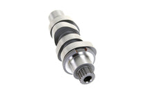 Load image into Gallery viewer, Andrews M8 Camshaft M460