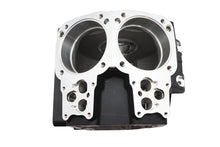 Load image into Gallery viewer, Ultima Twin Cam Engine Case Set Black