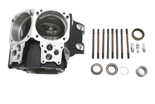Load image into Gallery viewer, Ultima Twin Cam Engine Case Set Black