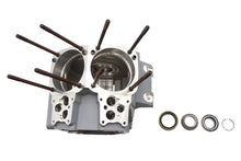 Load image into Gallery viewer, Ultima Twin Cam Engine Case Set Silver