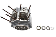 Load image into Gallery viewer, Ultima Twin Cam Engine Case Set Silver