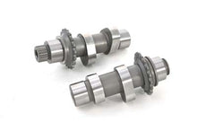 Load image into Gallery viewer, Andrews Cam Set Late Roller Chain Drive #48