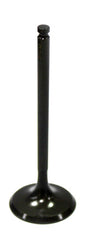 Intake Valve