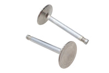 Load image into Gallery viewer, Ultima Exhaust Valve Stainless Steel