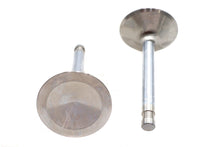 Load image into Gallery viewer, Ultima Intake Valve Stainless Steel