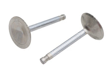 Load image into Gallery viewer, Ultima Intake Valve Stainless Steel