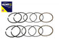 Hastings Piston Ring Set .010 Oversize