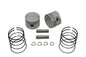 80 inch Evolution Piston Kit .005 Oversize