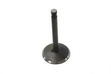 Load image into Gallery viewer, Nitrate Steel Intake Valve