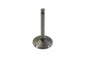 Nitrate Steel Intake Valve
