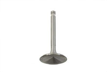 Load image into Gallery viewer, Stainless Steel Intake Valve
