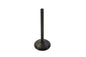 1200cc Nitrate Steel Intake Valve