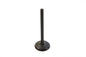 1200cc Nitrate Steel Intake Valve