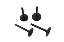 Load image into Gallery viewer, Nitrate Intake and Exhaust Valve Set