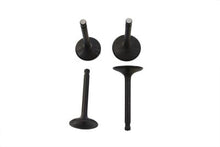 Load image into Gallery viewer, Nitrate Intake and Exhaust Valve Set