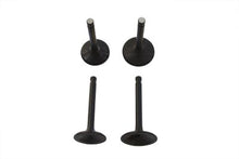 Load image into Gallery viewer, Nitrate Intake and Exhaust Valve Set