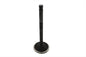 Nitrate Steel Exhaust Valve